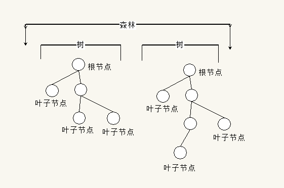 树&二叉树