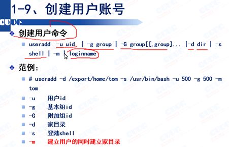 solaris用户与文件权限管理