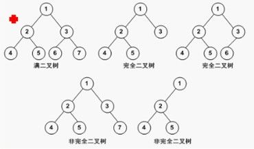 你应该掌握的——树和二叉树