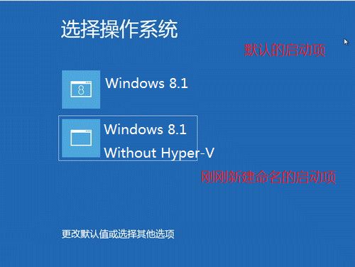 设置Hyper-V和VMware多个服务之间共存