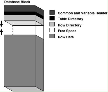 Oracle 数据块 Block 说明