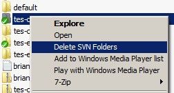 Windows下删除.svn文件夹的最简易方法