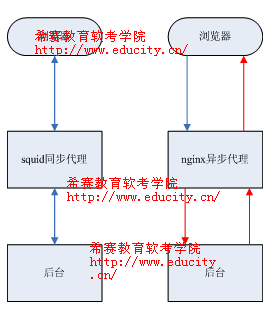 squid,nginx,lighttpd反向代理的区别