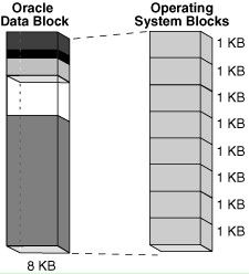 Oracle 数据块 Block 说明