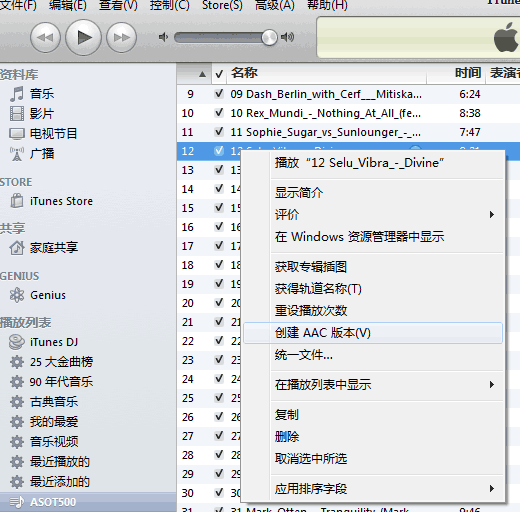 将下载到的FLAC APE 等文件 转换为iPod 使用的 AAC格式