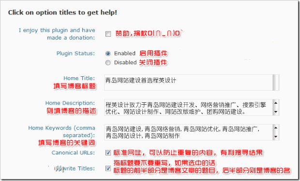 WordPress插件All-in-one-seo-pack详细设置