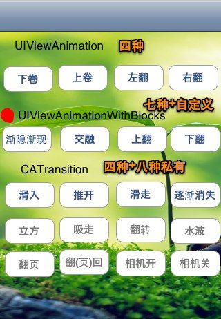 ios界面动画小结