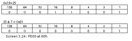 《Metadata Tables》第3章 MetaData Table Types