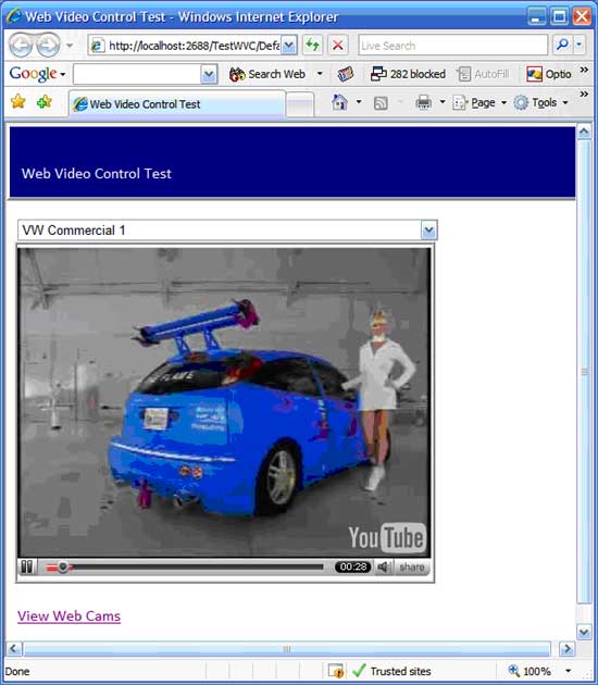 Display Video using a C# Web Custom Control