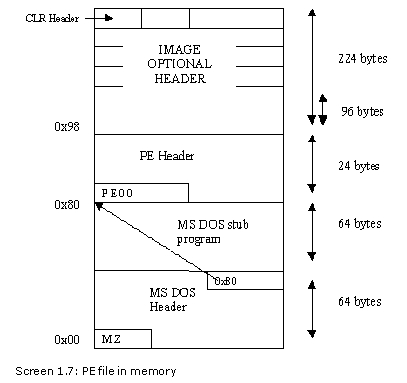 《Metadata Tables》第1章 The PE File Format