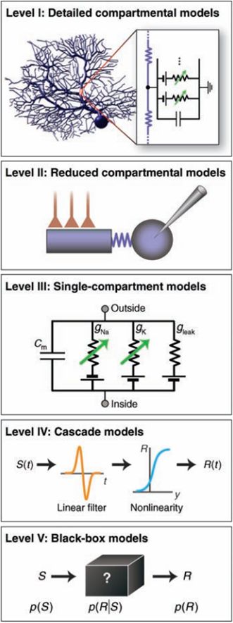 Modeling Single-Neuron Dynamics and Computations: A Balance of Detail and Abstraction