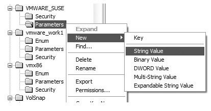 Install VMware Workstation as a Service