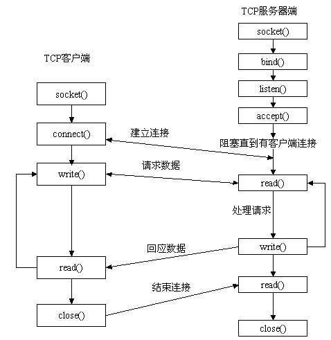 TCP与UDP