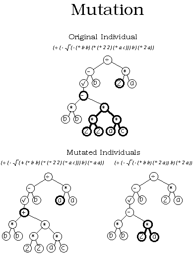 遗传算法—genetic algorithms