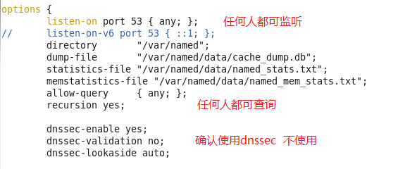 《DNS的正向反向解析》RHEL6