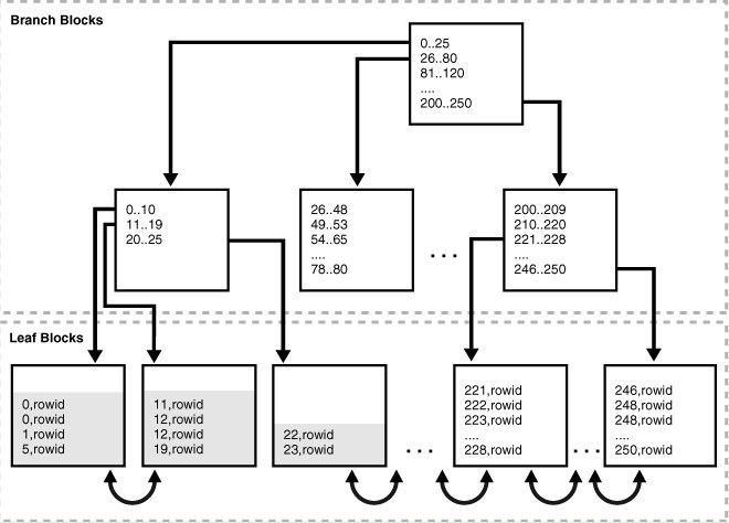 Oracle 数据块 Block 说明