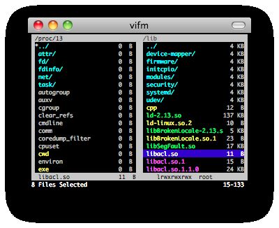 vifm screenshot