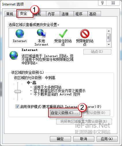 IE 自定义级别