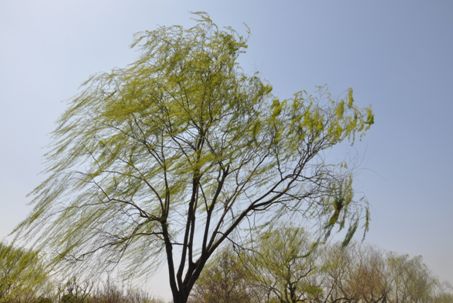 蚂蚁变大象：浅谈常规网站是如何从小变大的（二）