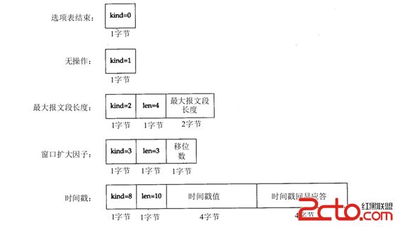 TCP协议的一些认识及实践