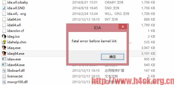 IDA64 Fatal error before kernel init