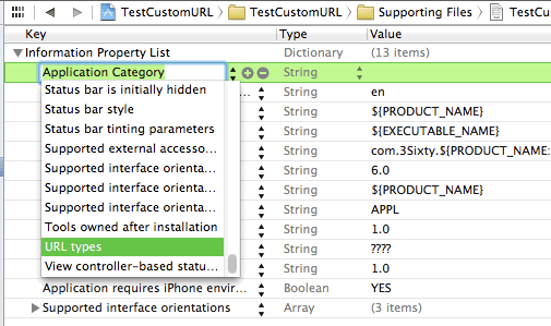 iOS Custom URL Scheme