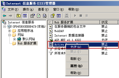 IIS安装和使用（Windows Server 2003）