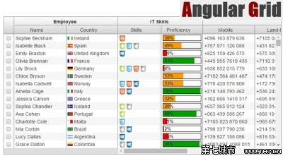 推荐 15 个 Angular.js 应用扩展指令(参考应用)