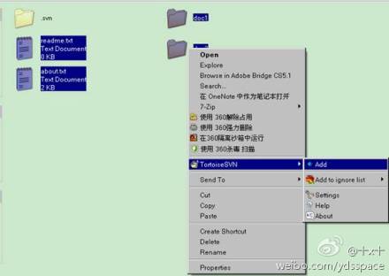 SVN客户端TortoiseSVN的安装、配置和使用图文教程