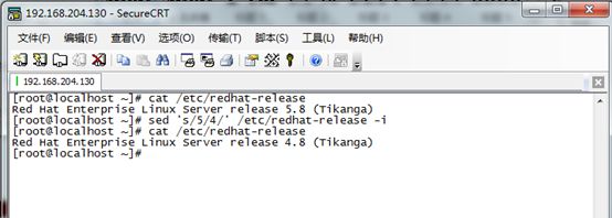 Red Hat Enterprise Server 5.8+oracle10g（中文界面）安装