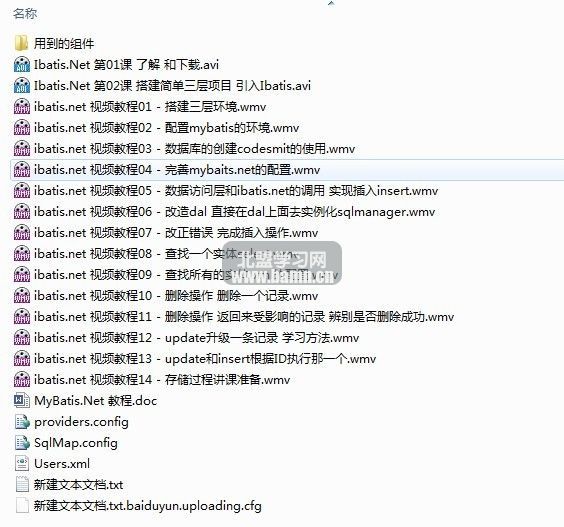 IBatis.Net 视频教程 原创教程