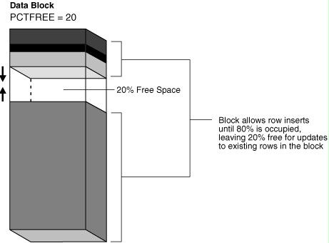 Oracle 数据块 Block 说明