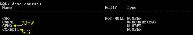 跟我一起学Oracle 11g【7】----SQL 基础学习