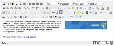 TinyMCE - Javascript富文本编辑器