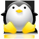 Linux: Set OR Change The Library Path