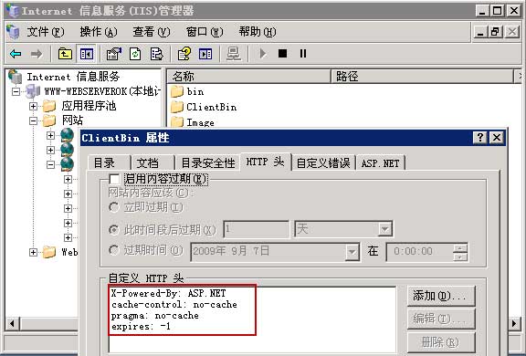 WPF/Silverlight深度解决方案：(二)Silverlight源码之自我保护