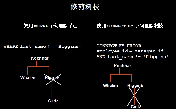 Hierarchical query-层次查询之START WITH CONNECT BY用法