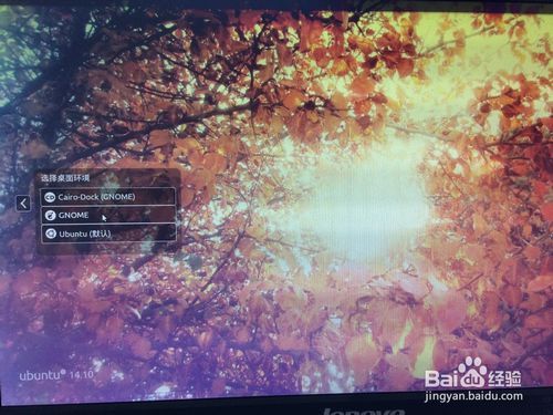 ubuntu14.10安装gnome桌面环境和dock工具
