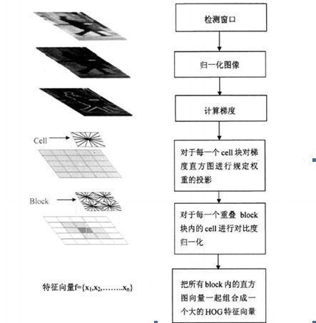 HOG(Histograms of Oriented Gradients )梯度方向直方图