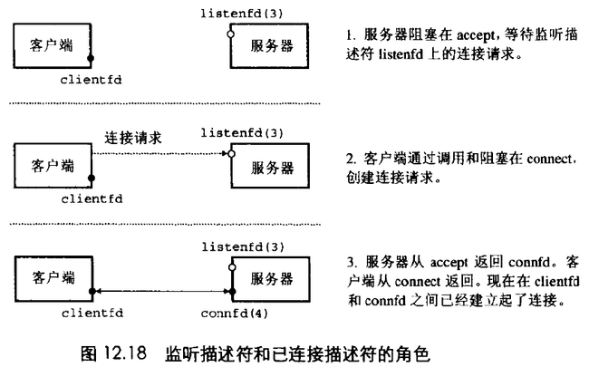 Linux网络编程系列二:套接字接口_第2张图片