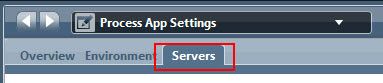 Process App Settings 中的 Servers 选项卡