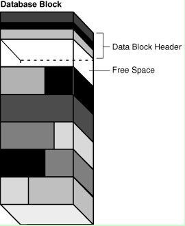 Oracle 数据块 Block 说明