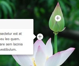 8 款简单大气的 jQuery/CSS3 图片特效