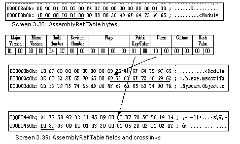 《Metadata Tables》第3章 MetaData Table Types