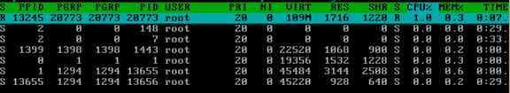 Linux htop工具使用详解