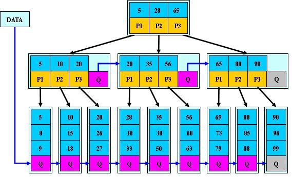 B树、B-树、B+树、B*树详解