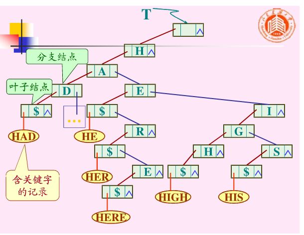 查找算法（V）键树——双链树和Trie树