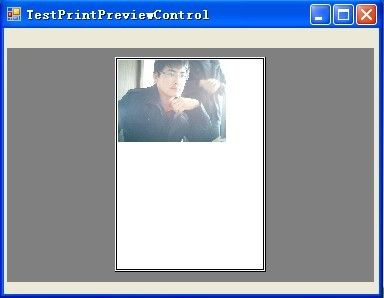 PrintPreviewControl控件