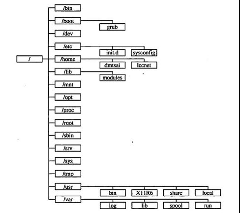 Linux 目录结构