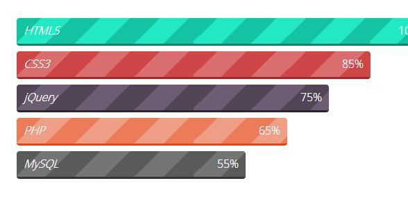 css3-skill-progress-bar